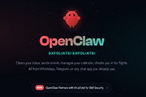 OpenClaw 热潮,草根站长该如何抉择?