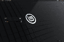如何使用U盘安装Linux mint系统——附带安装方法