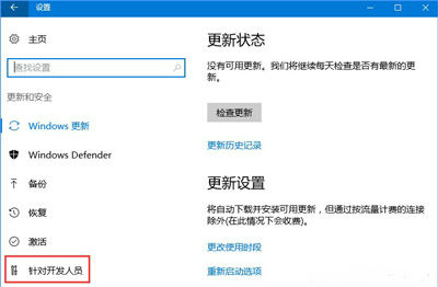 打开“针对开发人员” 打开“针对开发人员”