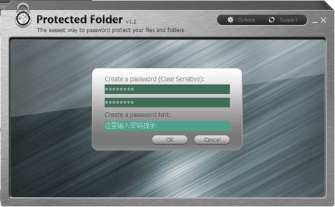 下载安装IObit Protected Folder 下载安装IObit Protected Folder