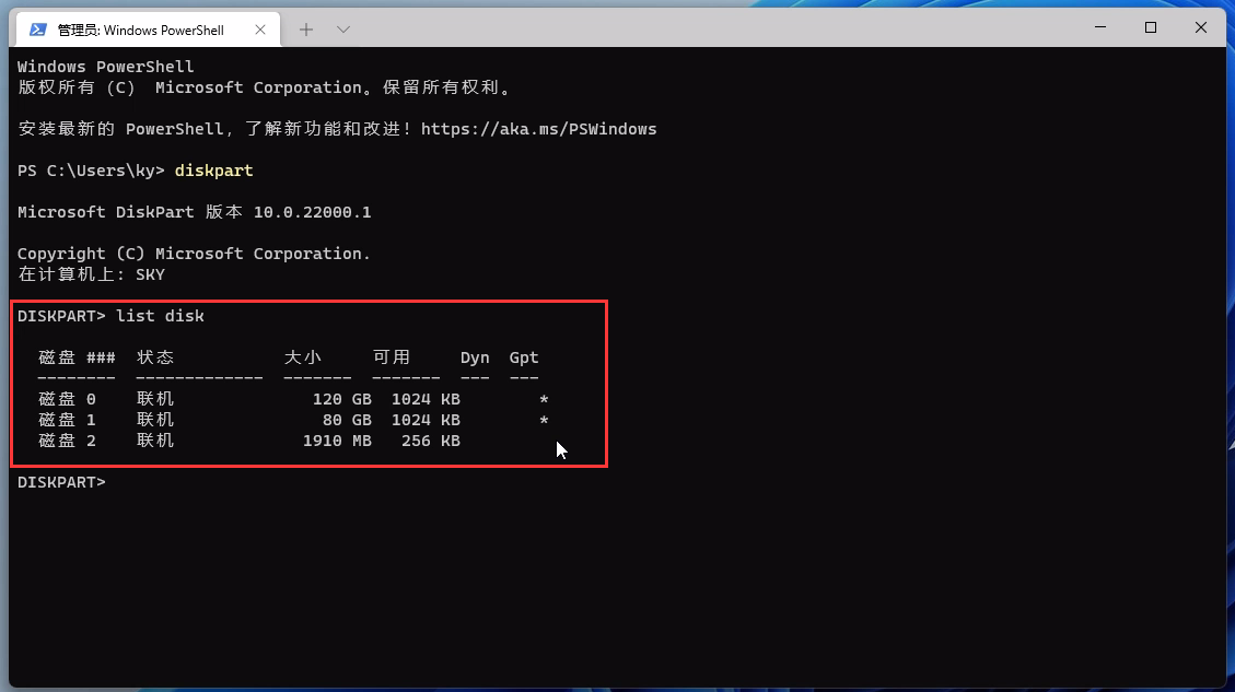 list disk list disk