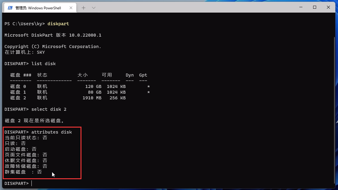 attributes disk attributes disk