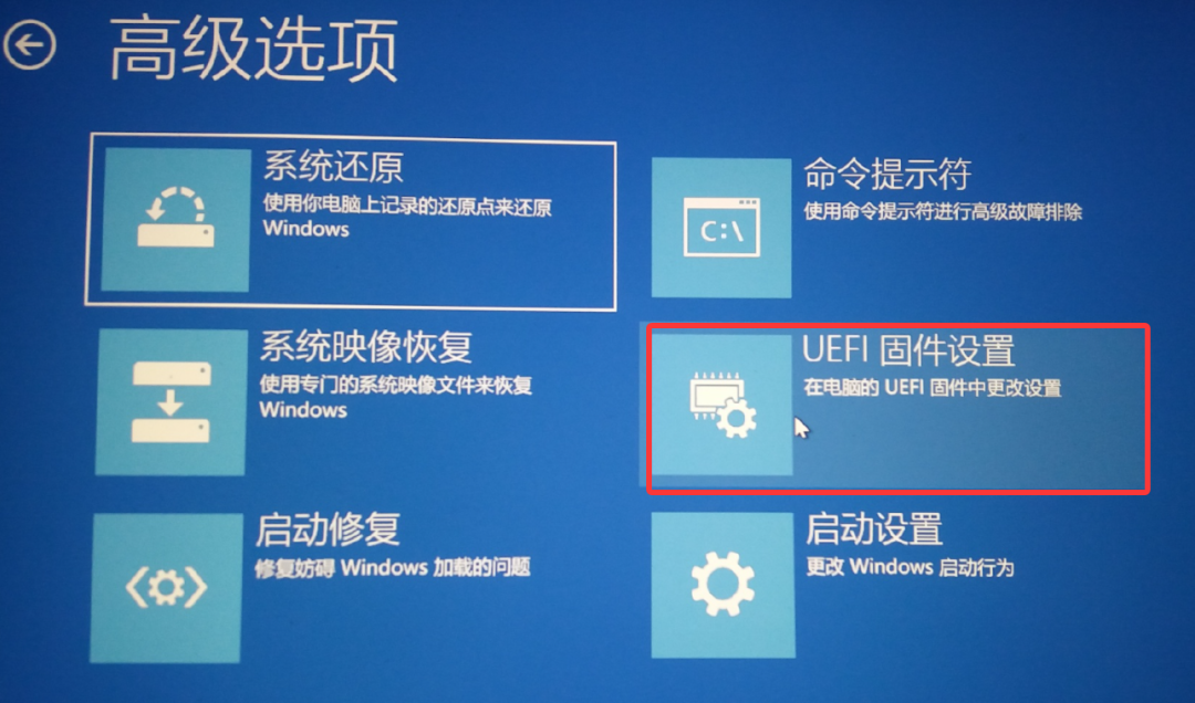 高级选项 高级选项